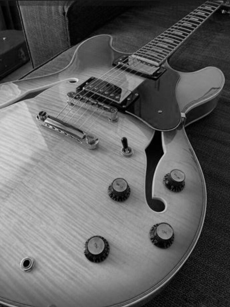 Guitare semi-hollow réglée